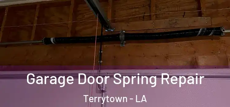  Garage Door Spring Repair Terrytown - LA