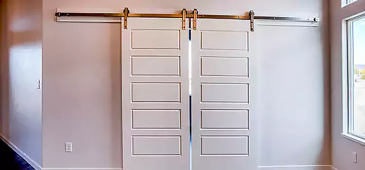 Glass Barn Door with Installation Hardware Kit Terrytown