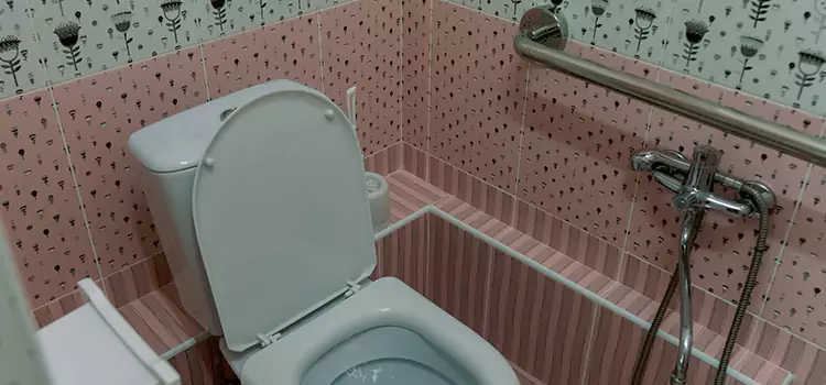 Meeting Diverse Needs With Accessible Restroom Solutions in Terrytown, LA