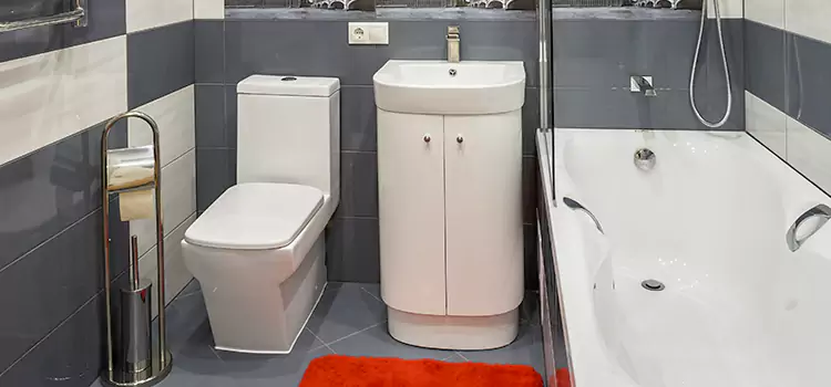 Hansgrohe Shaving Mirror Terrytown